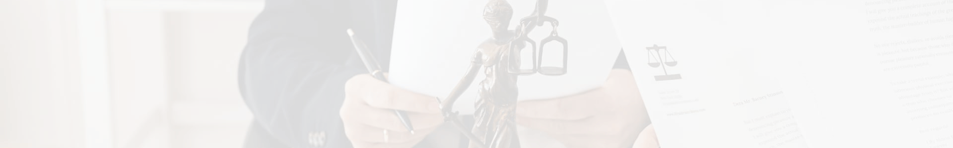 Law assignment help banner